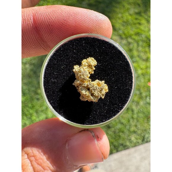 California Native Gold Crystal - 1.21 grams - Picture 2 of 7
